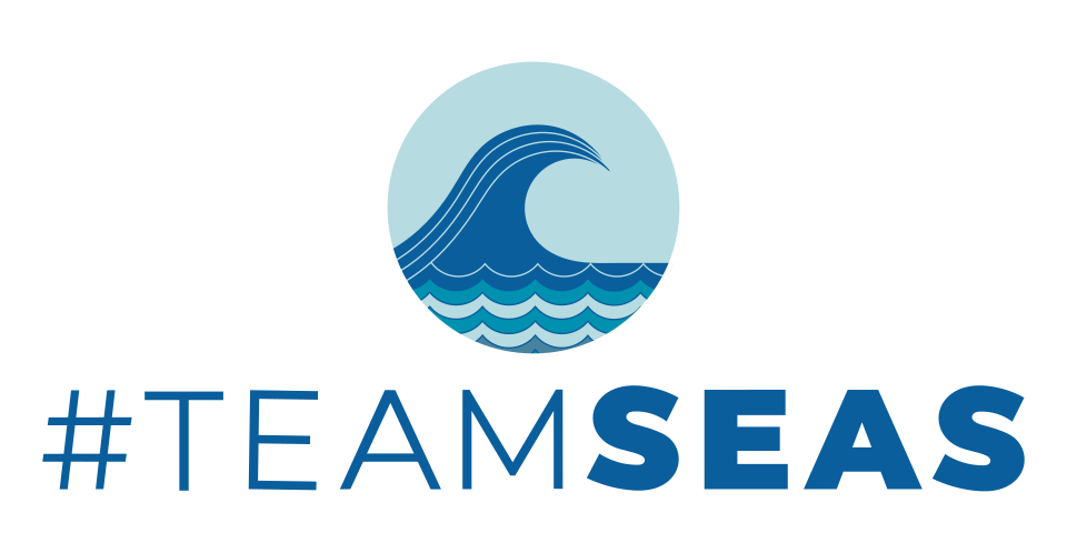 Fayl:Logo Team Seas 02.svg