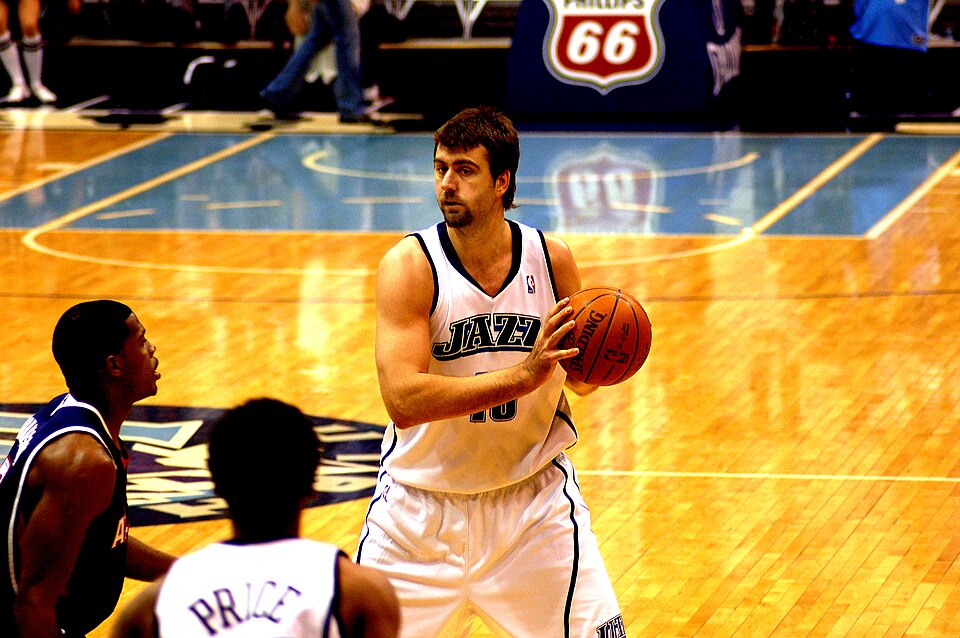 Fayl:Mehmet Okur.jpg