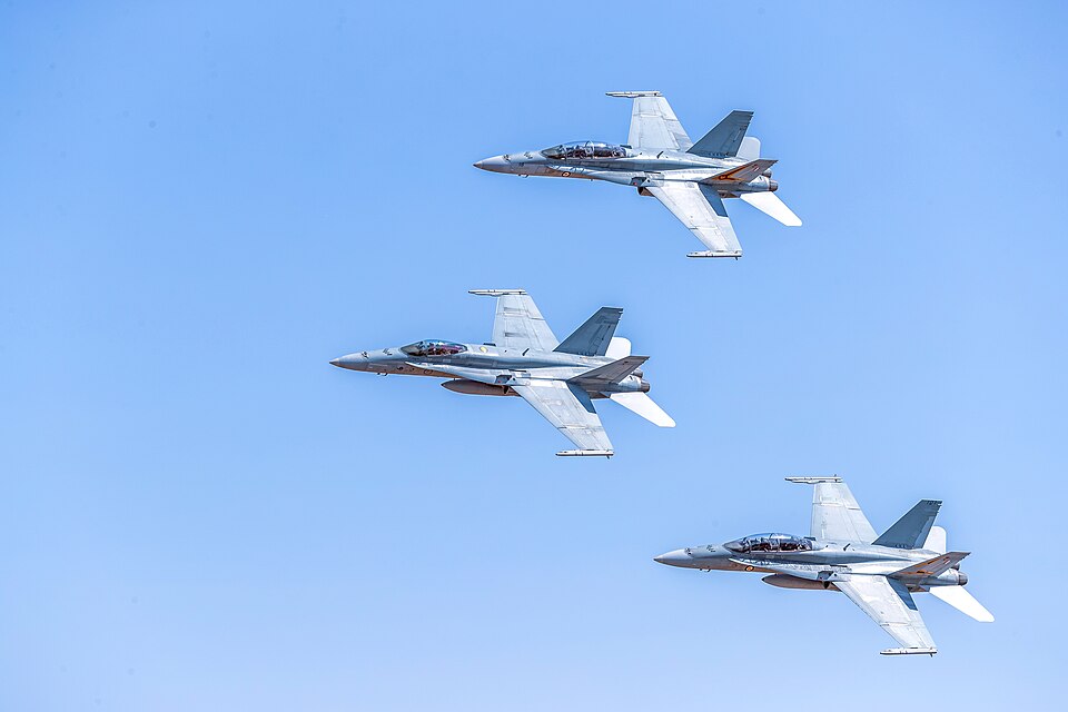 Fayl:FA-18A Hornet.jpg