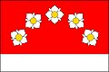 Flag of Nová Pláň