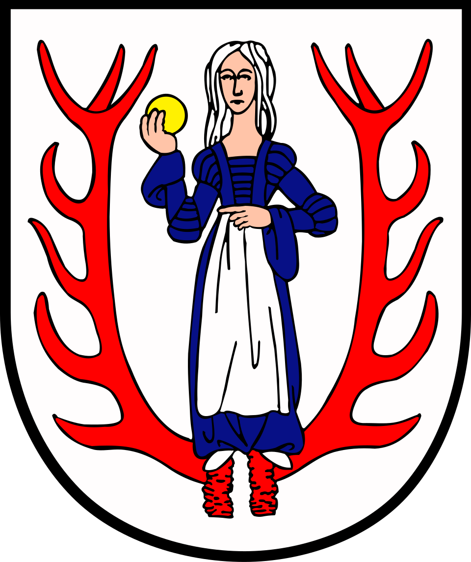 Fayl:POL Biały Bór COA.svg