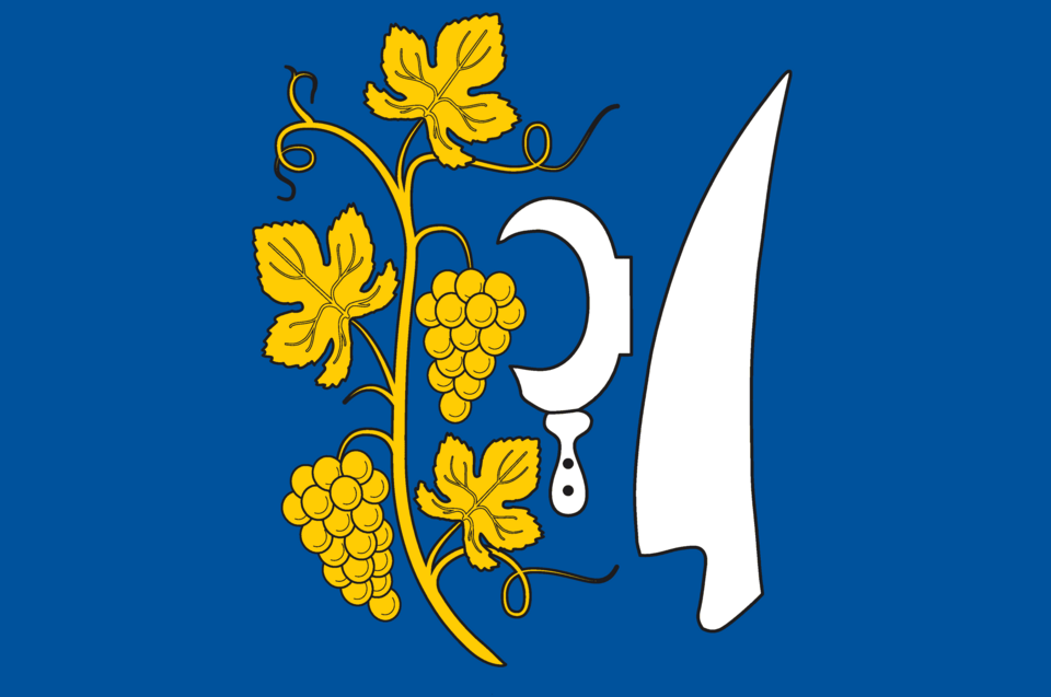 Fayl:Troubsko vlajka.png