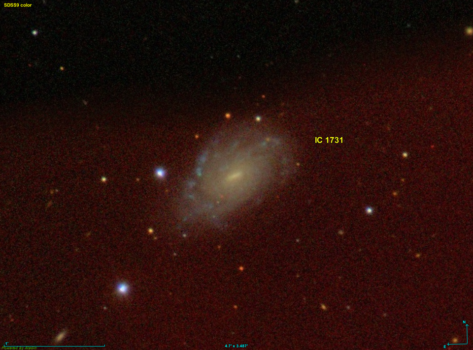 Fayl:IC 1731 SDSS.png