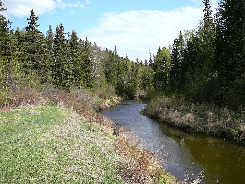 Fayl:2008-05-19 Whitemud Creek 002.jpg