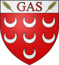 Gas