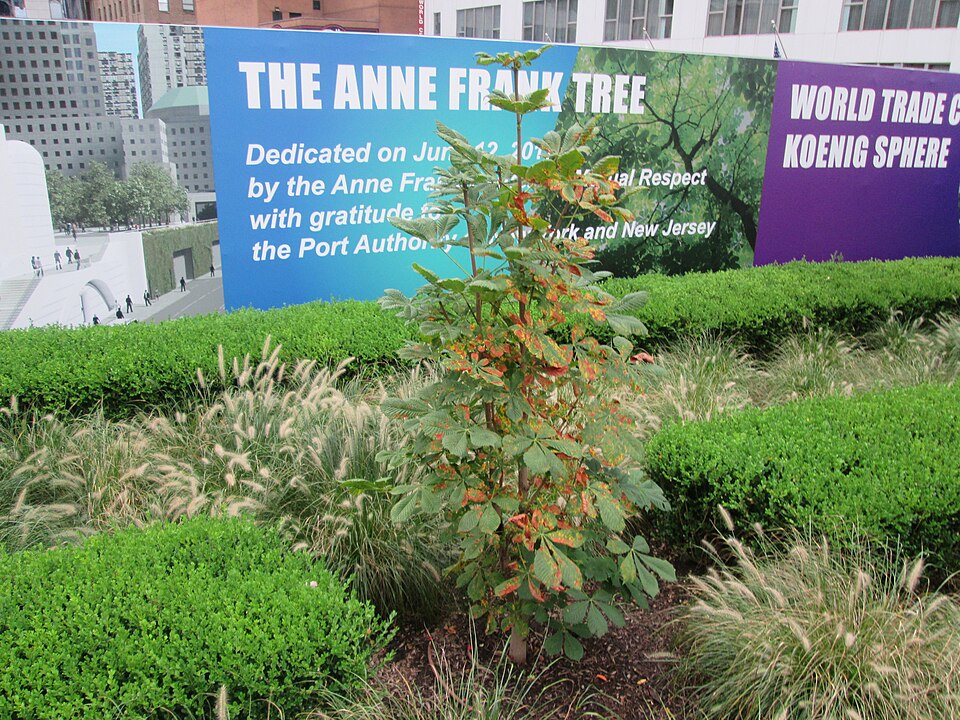 Fayl:Liberty Park Sep 2018 25.jpg