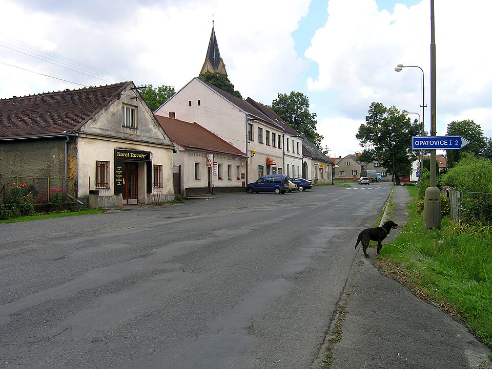 Fayl:Červené Janovice, main street.jpg