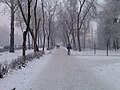 04:16, 2012-yil 7-avgust dagi versiya uchun tasvir
