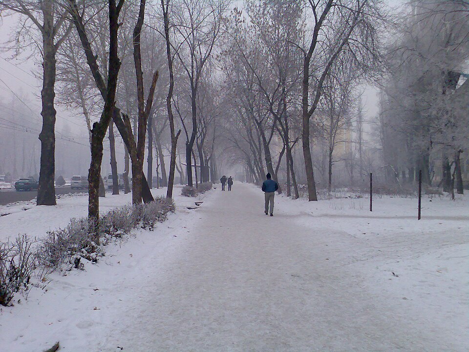Fayl:Зима в Душанбе.jpg