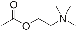 Fayl:Acetylcholine.svg