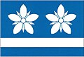 {{{rasmiy_nomi}}}ning bayrogʻi