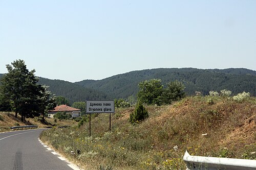Dryanova glava