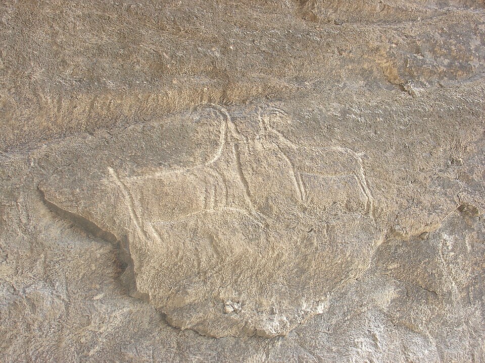 Fayl:More Qobustan Petroglyphs2.jpg