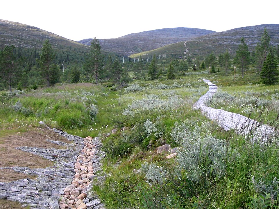 Fayl:Pallastunturi Finland.jpg