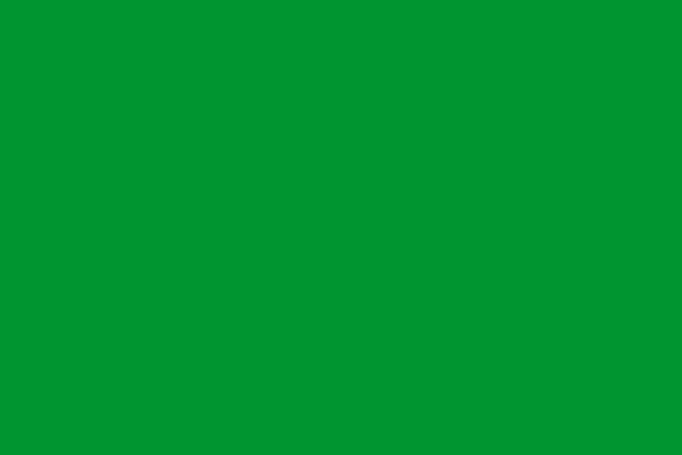 Fayl:Rectangular green flag.svg