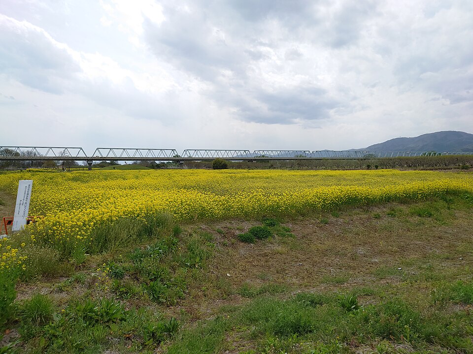 Fayl:20210501小布施橋01.jpg