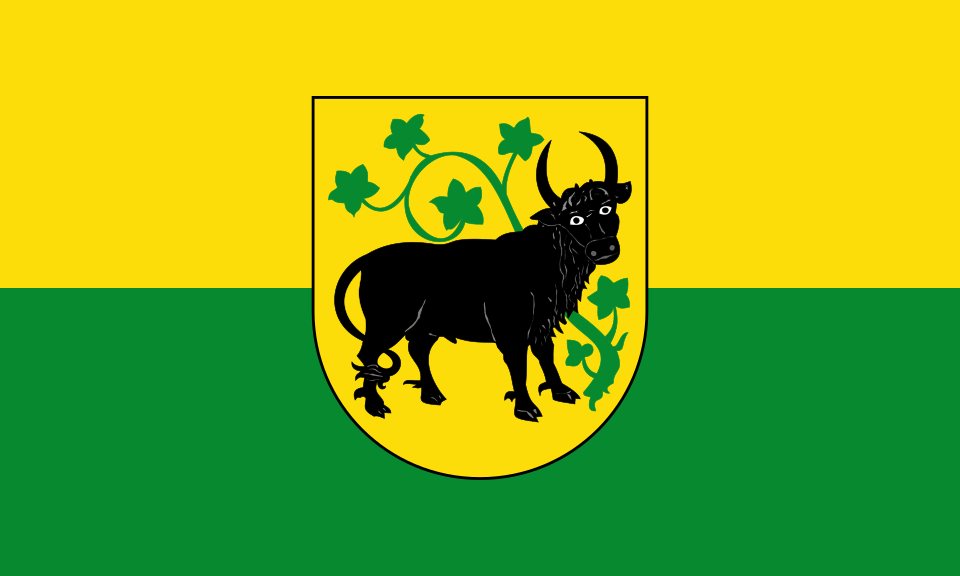 Fayl:Flagge der Stadt Güstrow.svg