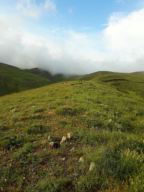 Fayl:Kalijan3.jpg