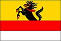 {{{rasmiy_nomi}}}ning bayrogʻi
