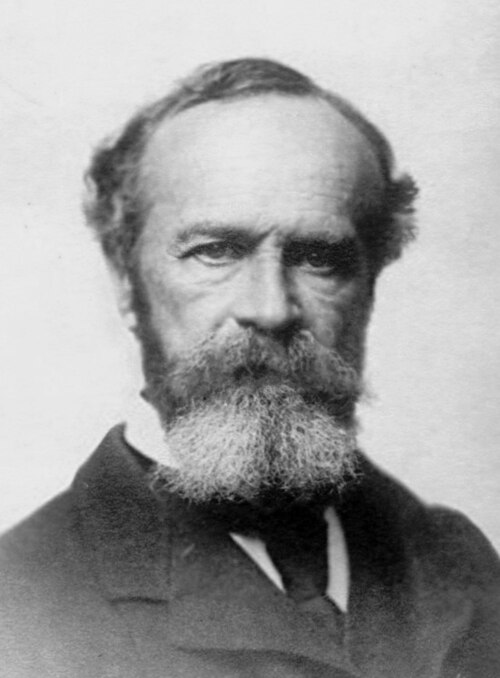 Fayl:Wm james.jpg