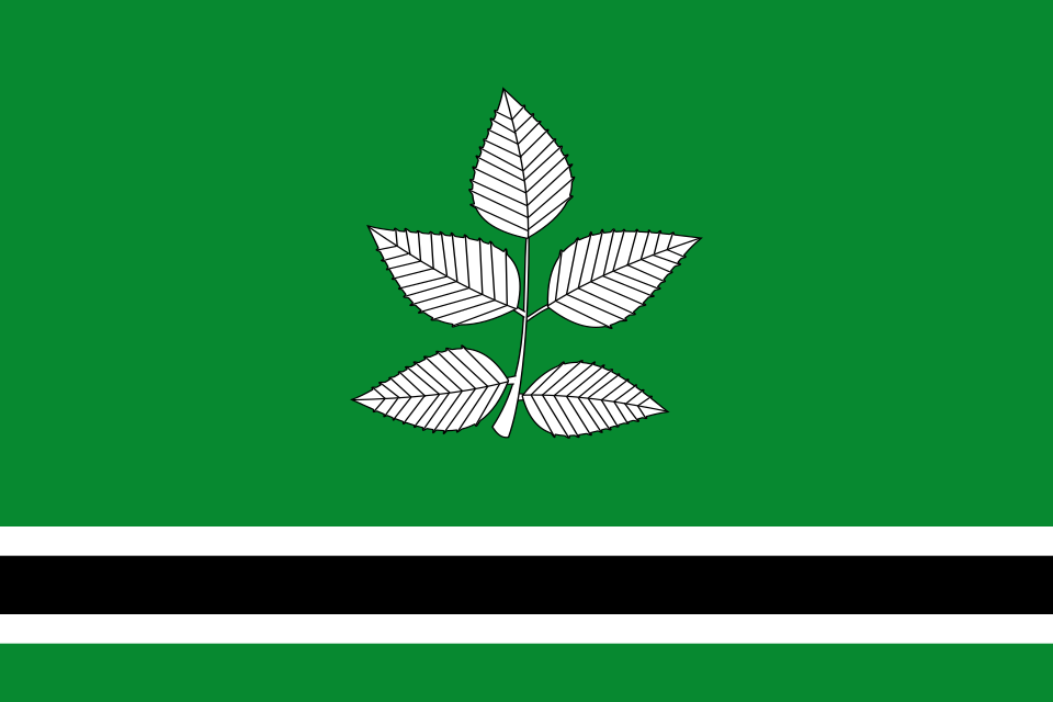 Fayl:Bandera de Vidrà.svg