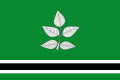 Vidrà