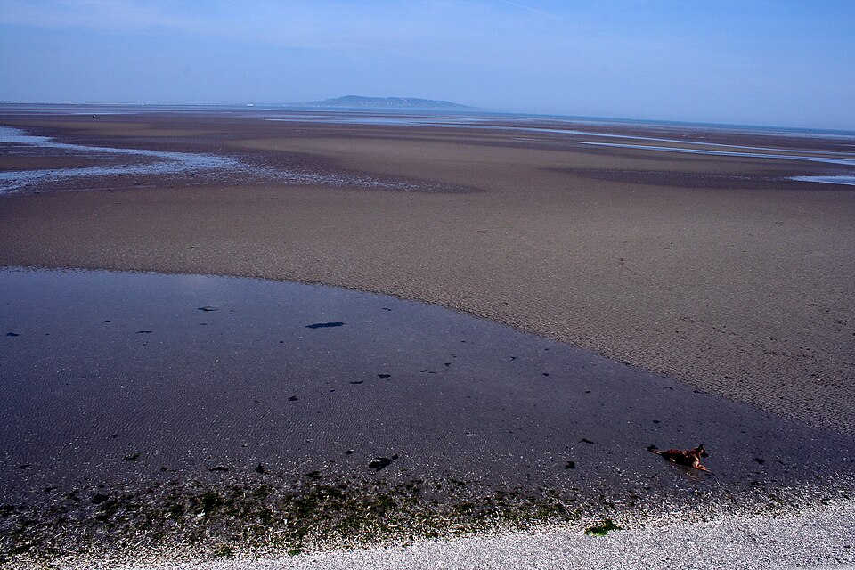 Fayl:IMG DublinBay1467a.jpg
