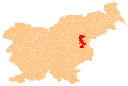 The location of the Municipality of Šentjur
