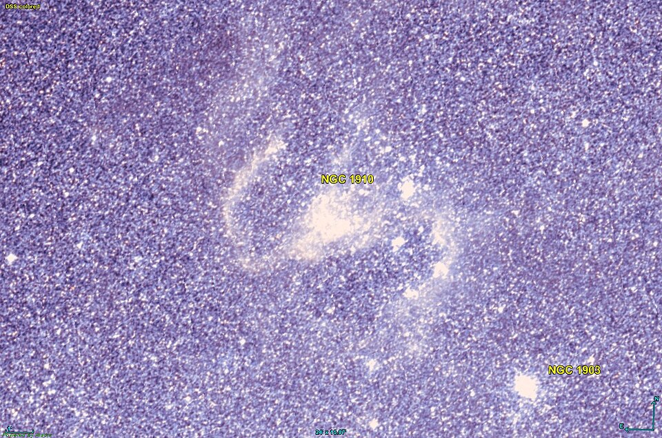 Fayl:NGC 1910 DSS.jpg