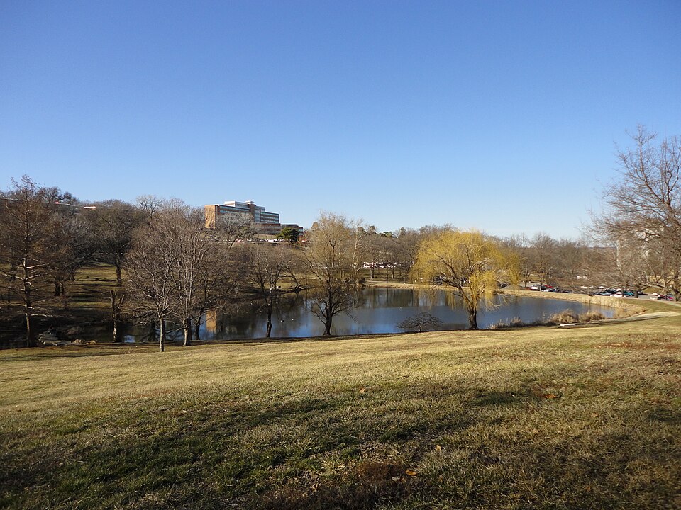 Fayl:Potter Lake.JPG