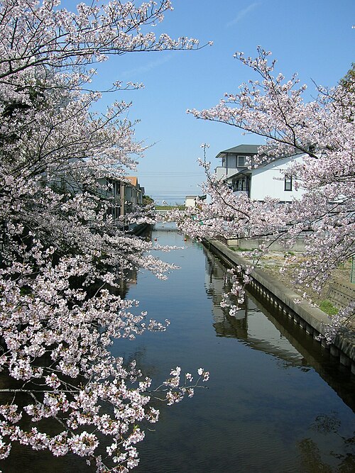 Fayl:Saya river05.jpg
