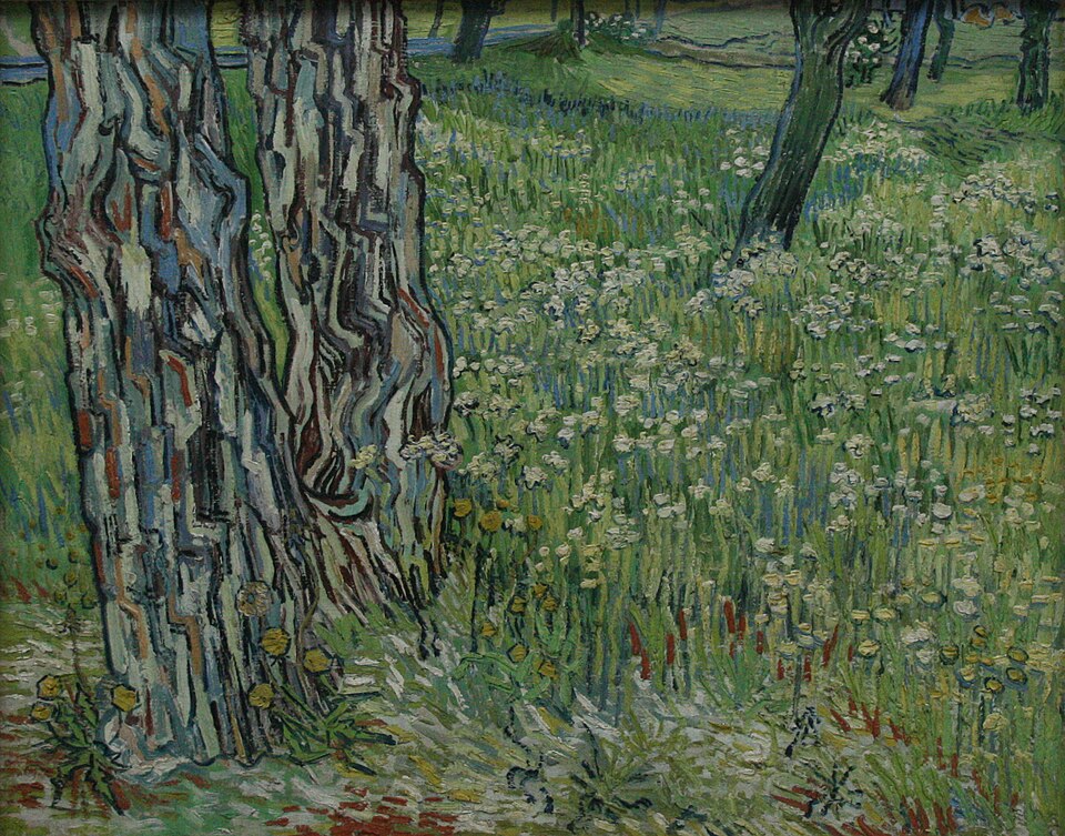 Fayl:Tree trunks in the grass.jpg