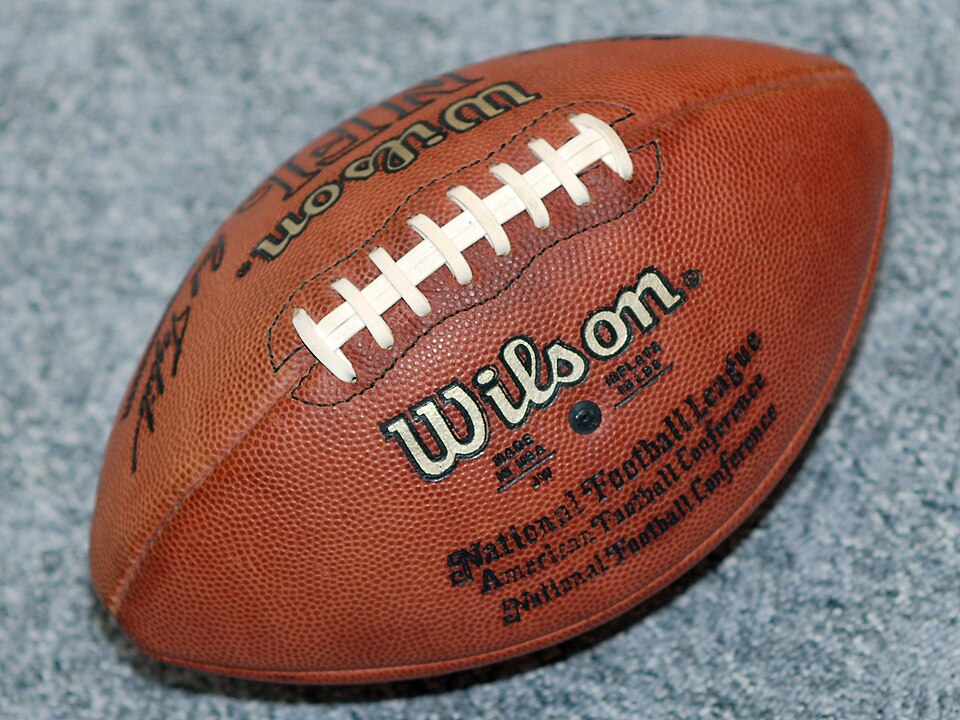 Fayl:Wilson American football.jpg