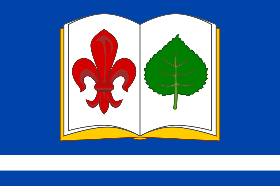 Fayl:Flag of Chyjice.svg