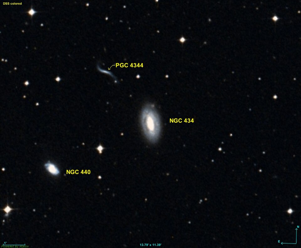 Fayl:NGC 0434 DSS.jpg