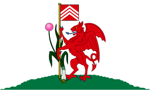 Fayl:Flag of Cardiff.svg