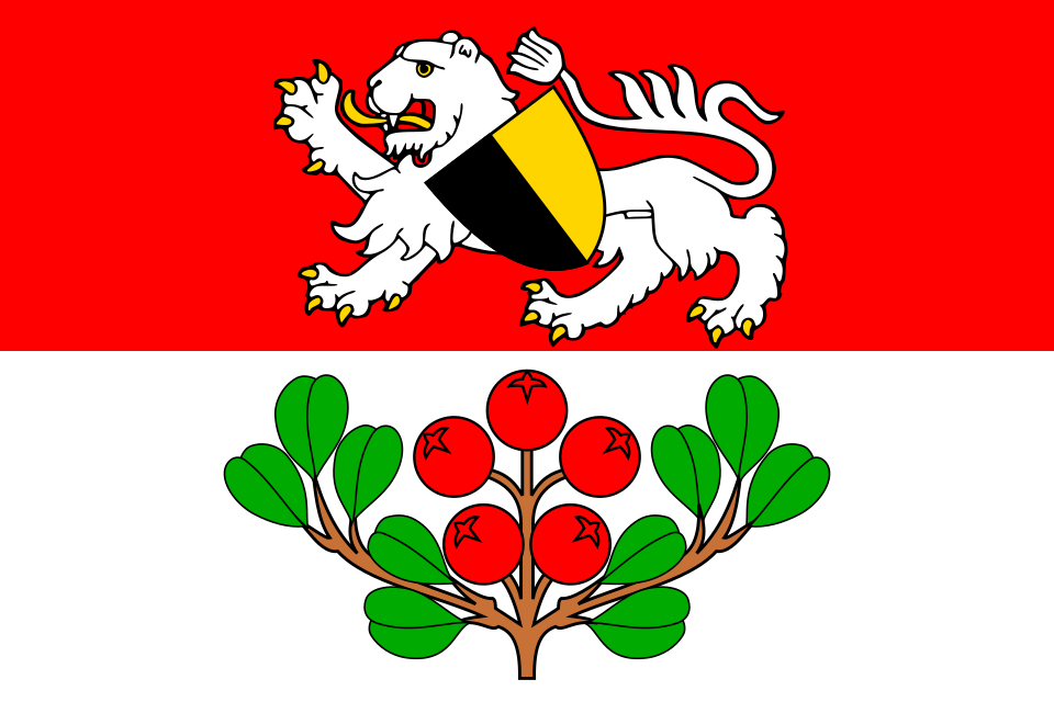 Fayl:Flag of Rynoltice CZ.svg