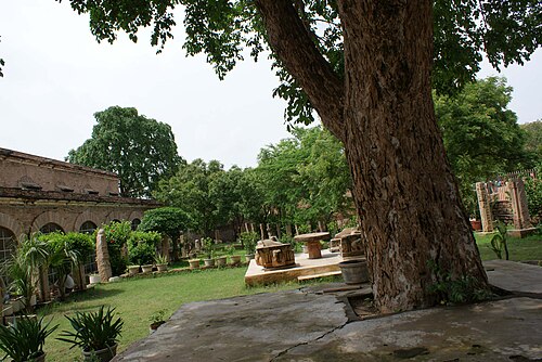 Tashqi koʻrinishi.