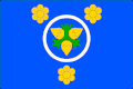 {{{rasmiy_nomi}}}ning bayrogʻi