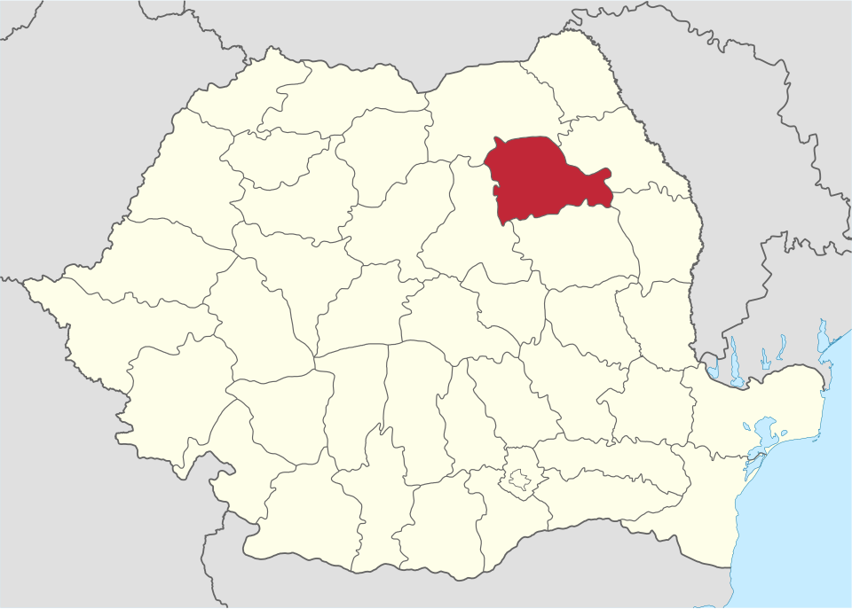 Fayl:Neamt in Romania.svg
