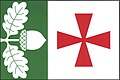Flag of Dolní Dubňany