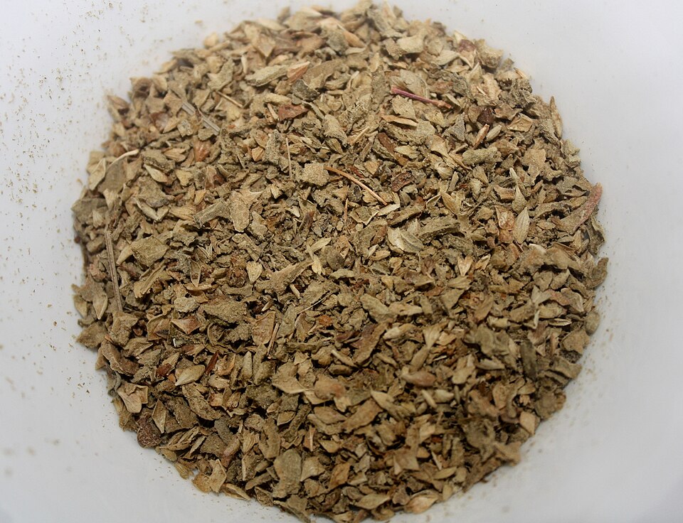 Fayl:Oregano (অরেগানো).JPG