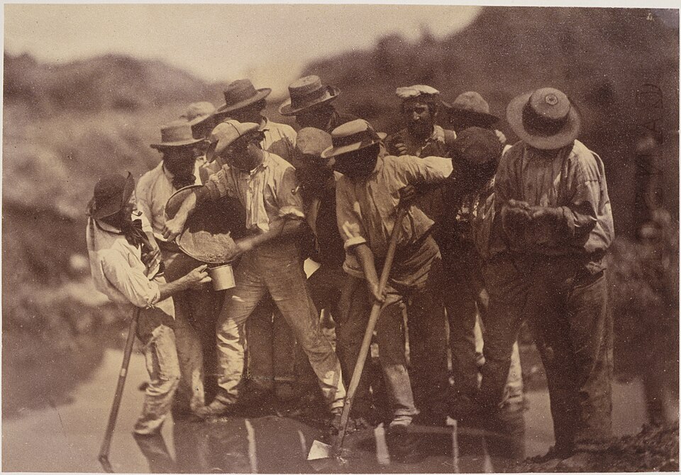 Fayl:Group of diggers.jpg