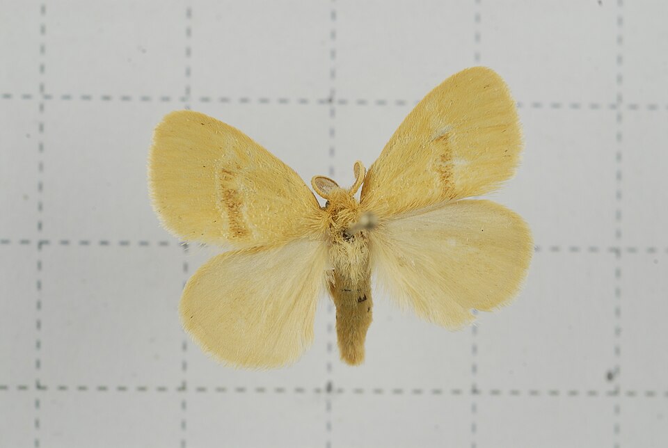 Fayl:V15-20140327-087 (14255516053).jpg