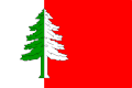 {{{rasmiy_nomi}}}ning bayrogʻi