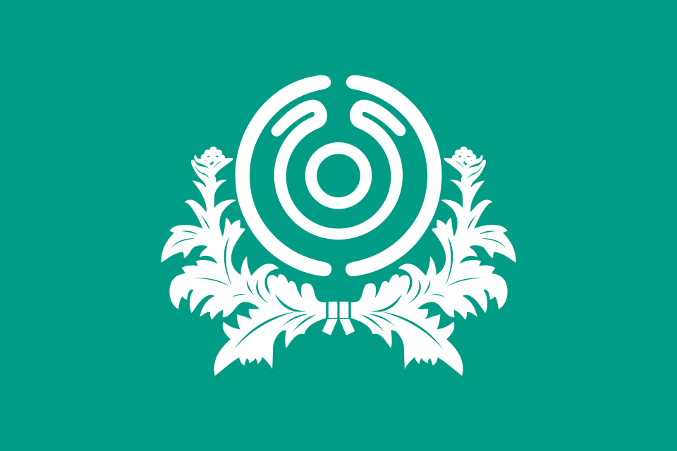 Fayl:Flag of Iijima, Nagano.svg