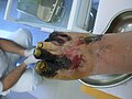 15:54, 2012-yil 21-mart dagi versiya uchun tasvir