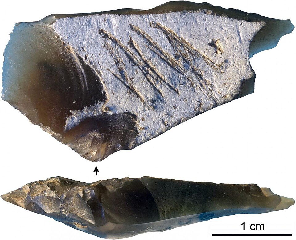 Fayl:Neandertal scratches.jpg