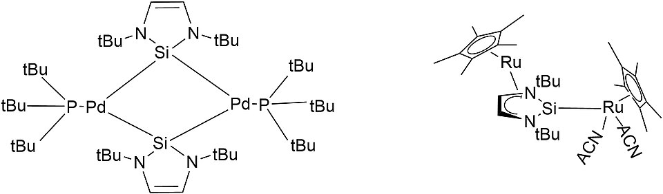 Fayl:Metal Complexes with NHSis.jpg