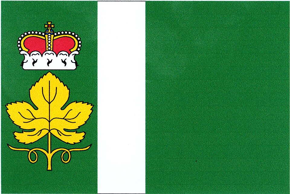 Fayl:Židovice LT flag.jpg